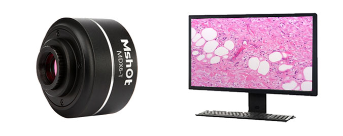 显微镜相机MV-6T 1600万超高分辨率显微数码相机 64M内存