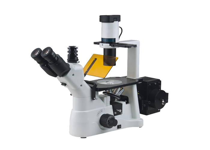 倒置荧光YG-XD30临床诊断、教学实验、细胞荧光染色观察 倒置荧光YG-XD30临床诊断、教学实验、细胞荧光染色观察