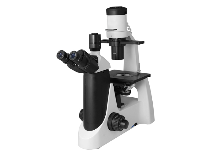 SW-2000D 倒置生物 适合大培养皿 半透明物体以及粉末、细小颗粒 SW-2000D 倒置生物 适合大培养皿 半透明物体以及粉末、细小颗粒
