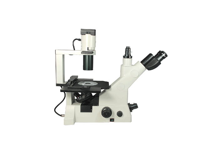 SW-1000 倒置生物显微镜 适合大培养皿 流质沉淀半透明物体粉末 SW-1000 倒置生物显微镜 适合大培养皿 流质沉淀半透明物体粉末