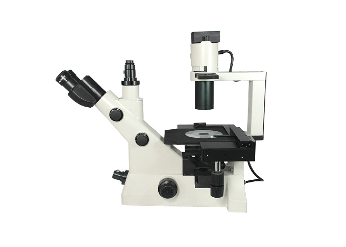 SW-1000 倒置生物显微镜 适合大培养皿 流质沉淀半透明物体粉末 SW-1000 倒置生物显微镜 适合大培养皿 流质沉淀半透明物体粉末