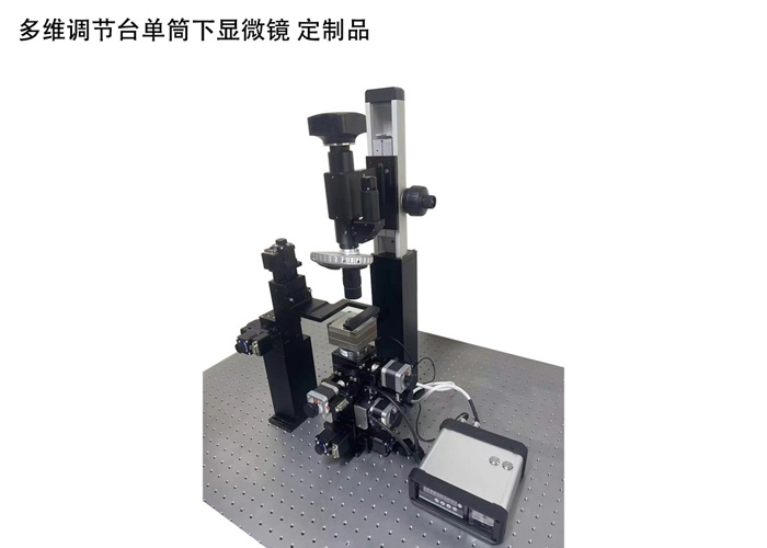 DW-X100单筒显微镜/多功能显微镜支架/多维组合镜架 DW-X100单筒显微镜/多功能显微镜支架/多维组合镜架