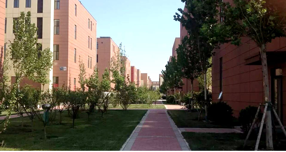 必赢电子游戏网站开元